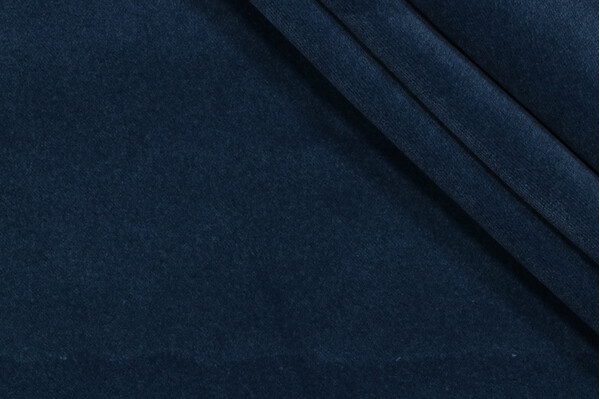 Maxwell Palmero Velvet Outdoor Fabric in Dragonfly