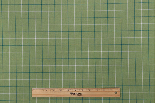 P Kaufmann Anchor Check Woven Polyester Indoor/Outdoor Fabric in Sprout 