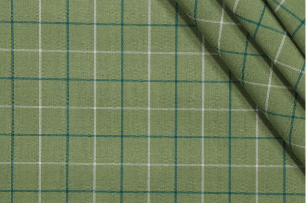 P Kaufmann Anchor Check Woven Polyester Indoor/Outdoor Fabric in Sprout 