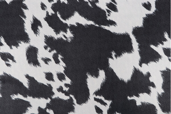 Covington Deja Moon Printed Velveteen Decorator Fabric in 903-Charcoal