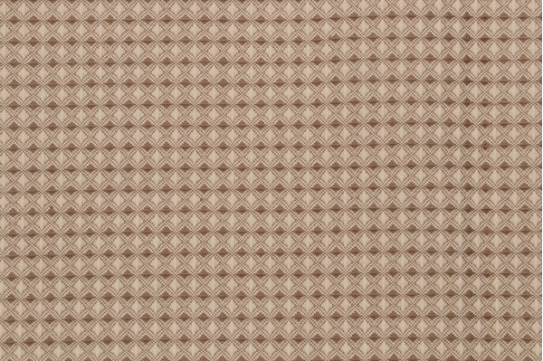 Scalamandre Permian Woven Upholstery Fabric in Mist