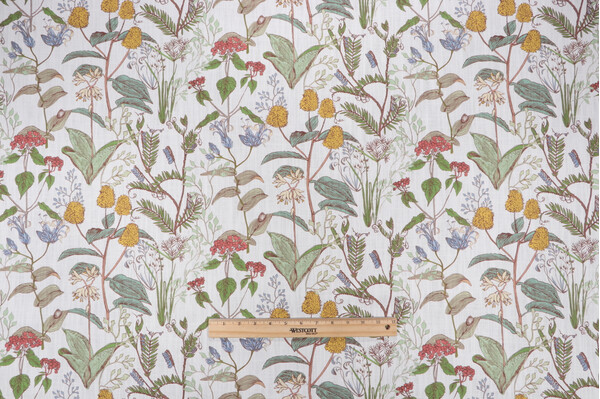 Lacefield Botanical Sketch Small Scale Printed Cotton Drapery Fabric in Multi