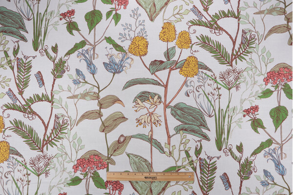 Lacefield Botanical Sketch Printed Cotton Drapery Fabric in Multi 