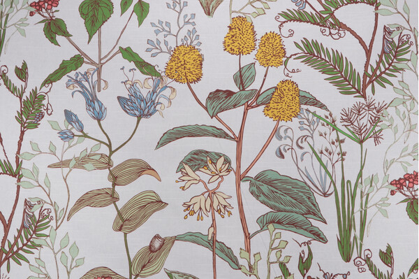 Lacefield Botanical Sketch Printed Cotton Drapery Fabric in Multi 
