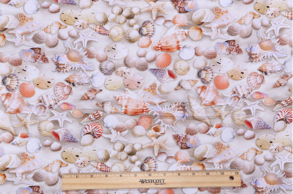 Timeless Treasures Beach Comber - Beachcomber Shells Printed Cotton Craft Fabric in Multi