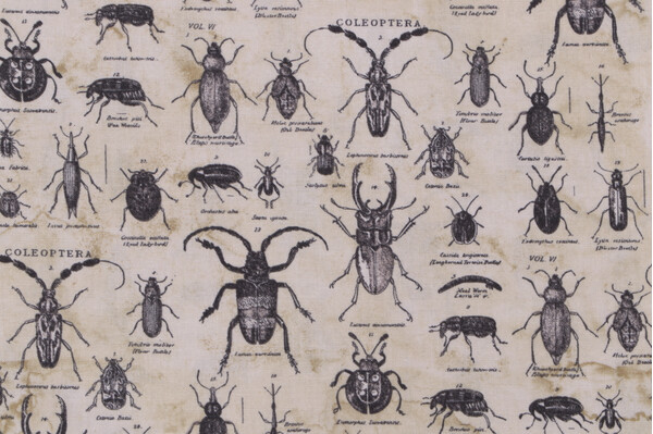 Tim Holtz Laboratory - Specimen Printed Cotton Craft Fabric in Neutral for Free Spirit