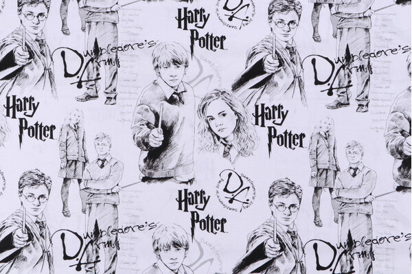 Harry Potter Licensed Mystery Of Magic Printed Cotton Craft Fabric