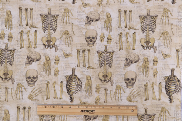 Tim Holtz Laboratory - Anatomy Printed Cotton Craft Fabric in Neutral for Free Spirit