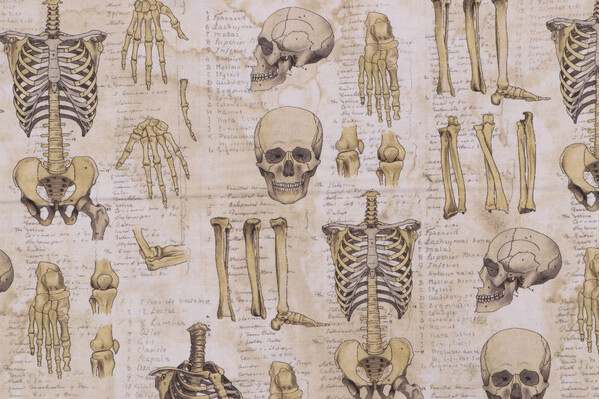 Tim Holtz Laboratory - Anatomy Printed Cotton Craft Fabric in Neutral for Free Spirit