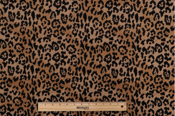 AbbeyShea Leopard Grospoint Velvet Upholstery Fabric in 54-Coin