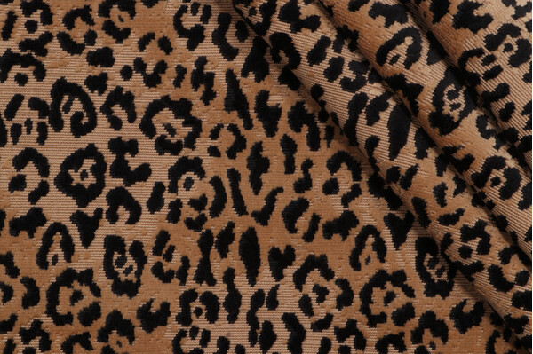 AbbeyShea Leopard Grospoint Velvet Upholstery Fabric in 54-Coin