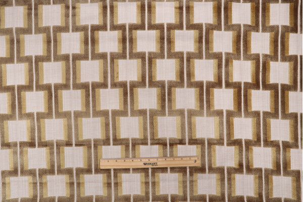 AbbeyShea Amalia Velvet Upholstery Fabric in 205-Lichen