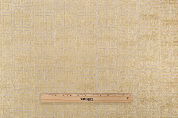 AbbeyShea Roberts Velvet Upholstery Fabric in 25-Citrine