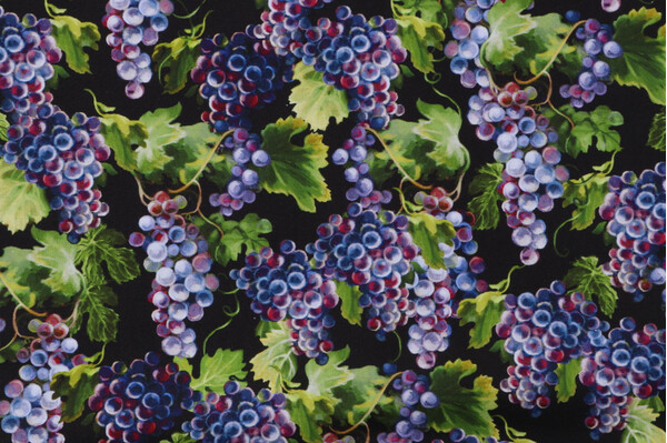 Dona Gelsinger Fabrics Of SoHo Wine Country - Grape Vines Printed Cotton Craft Fabric in Black for Timeless Treasures
