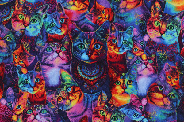 Chong-A Hwang Fabrics of SoHo Wildcat - Packed Rainbow Cats Printed Cotton Craft Fabric in Multi