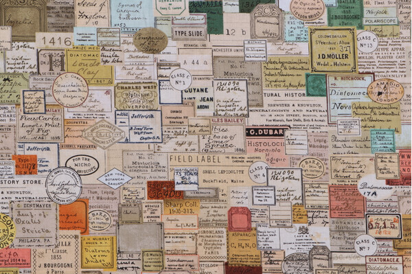 Tim Holtz Laboratory - Curator Printed Cotton Craft Fabric in Multi for Free Spirit