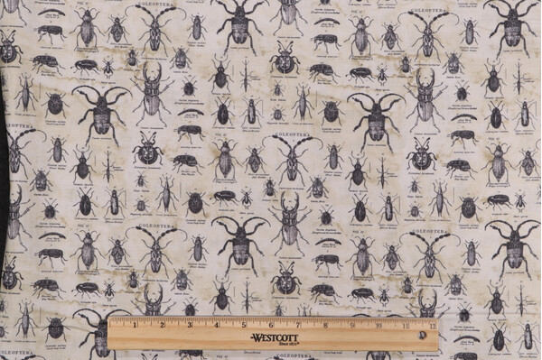 Tim Holtz Laboratory - Specimen Printed Cotton Craft Fabric in Neutral for Free Spirit