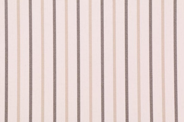 Richloom Austin Woven Polyester Outdoor Fabric in Birch 