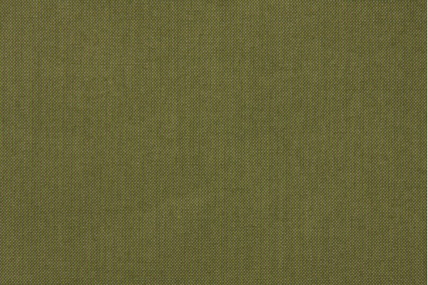 Sunbrella 48022-0000 Spectrum Solution Dyed Acrylic Outdoor Fabric in Cilantro 
