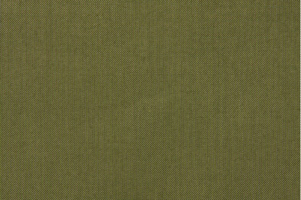Sunbrella 48022-0000 Spectrum Solution Dyed Acrylic Outdoor Fabric in Cilantro 