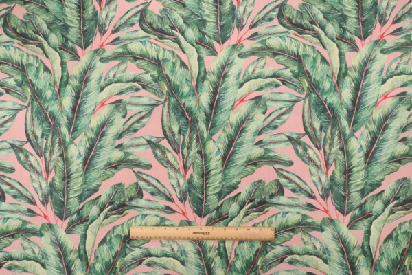 Terrasol - Frond Printed Acrylic Outdoor Fabric in Blush 