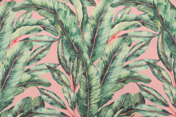 Terrasol - Frond Printed Acrylic Outdoor Fabric in Blush 
