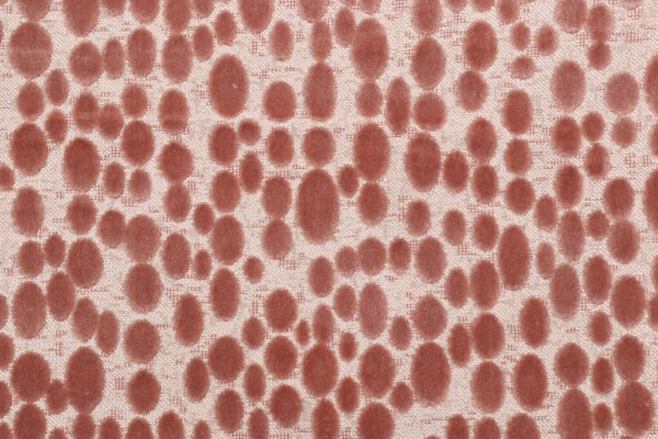Hamilton Finch Velvet Upholstery Fabric in Cameo 