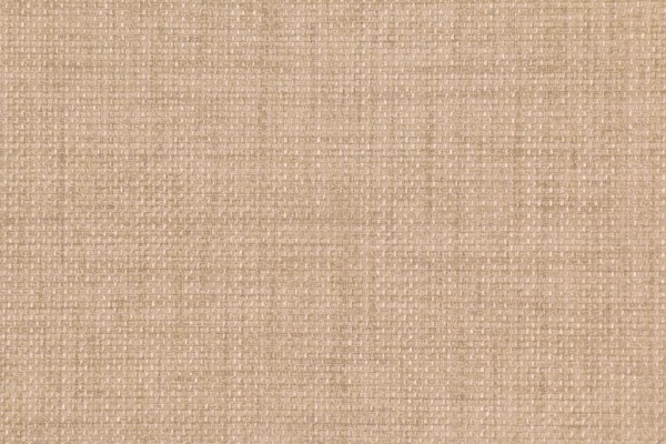 Richloom Rave Woven Polyester Outdoor Fabric in Sand