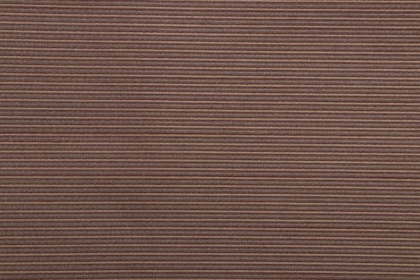 Robert Allen Yang Woven Decorator Fabric in Walnut