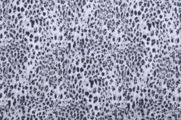 Mill Creek Zeffa-Paramount Printed Cotton Drapery Fabric in Charcoal 