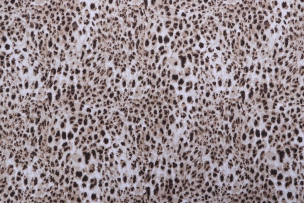 Mill Creek Zeffa Paramount Printed Cotton Drapery Fabric in Driftwood 