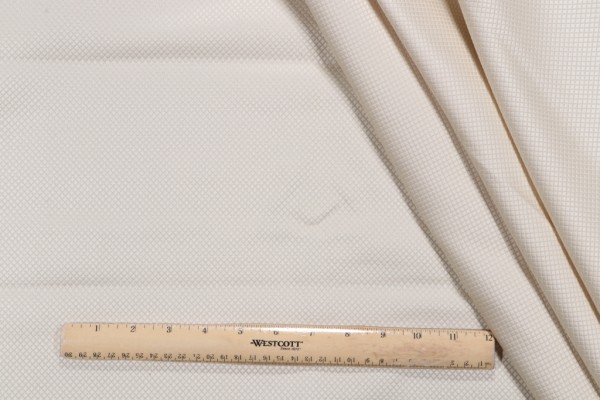 Robert Allen Westby Woven Decorator Fabric in Chablis