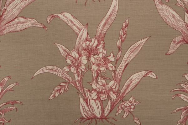 Thibaut Tropical Toile F99801 Printed Drapery Fabric in Burgundy on Tan 
