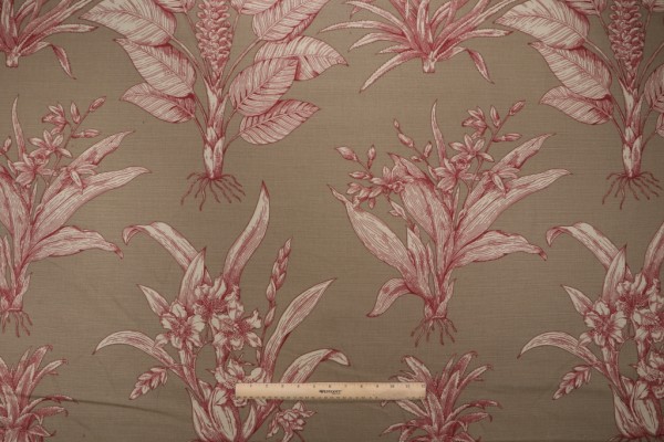 Thibaut Tropical Toile F99801 Printed Drapery Fabric in Burgundy on Tan 
