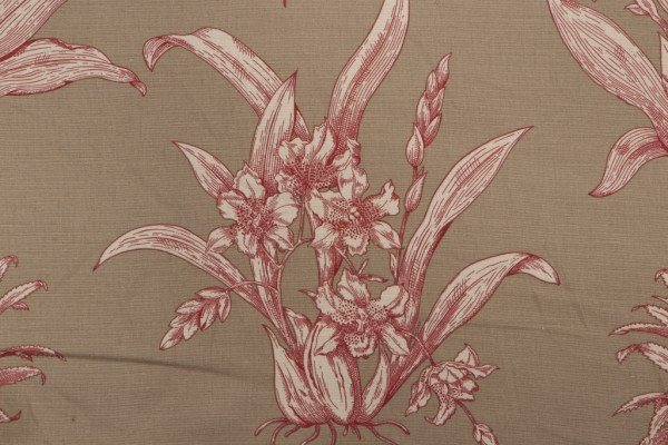 Thibaut Tropical Toile F99801 Printed Drapery Fabric in Burgundy on Tan 