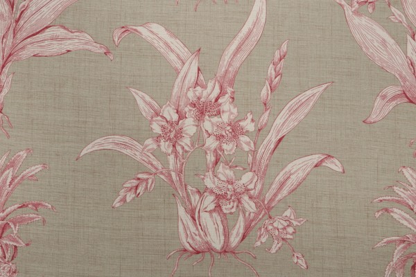 Thibaut Tropical Toile F99801 Printed Drapery Fabric in Burgundy on Tan