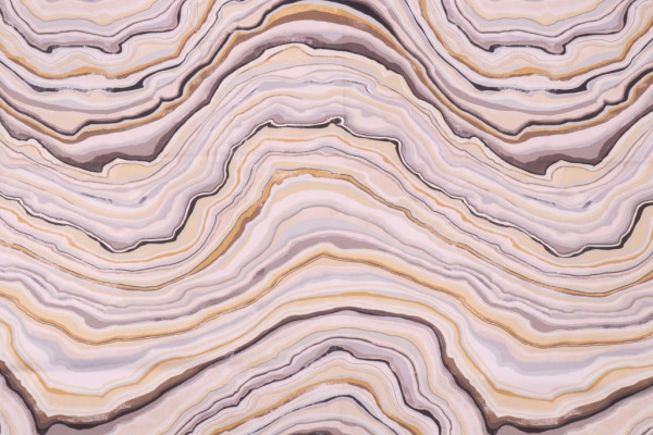 Covington Forsyth Printed Cotton Twill Drapery Fabric in 86-Dijon