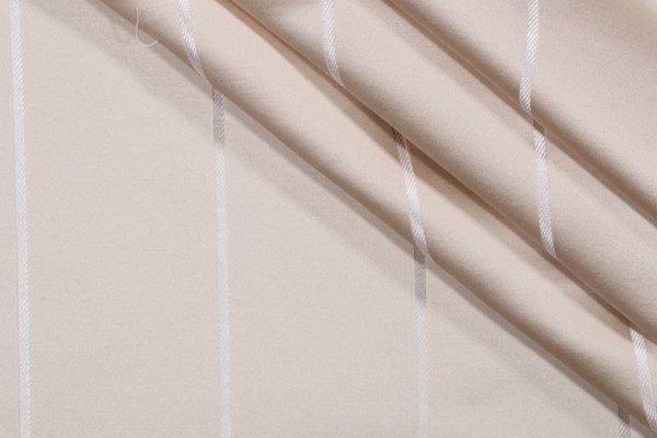 Richloom Breton Woven Decorator Fabric in Champagne