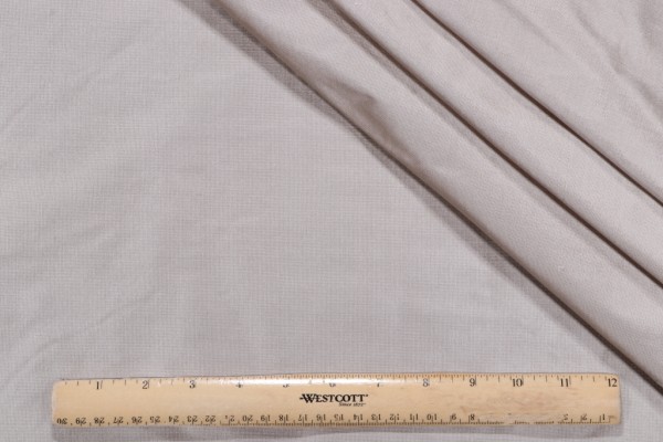 Titan Silk Decorator Fabric in Silver