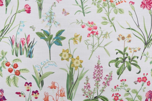 Sample of P Kaufmann Botanica Printed Cotton Drapery Fabric in Multi 