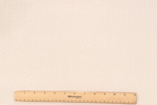Robert Allen Scales Chenille Upholstery Fabric in Frost