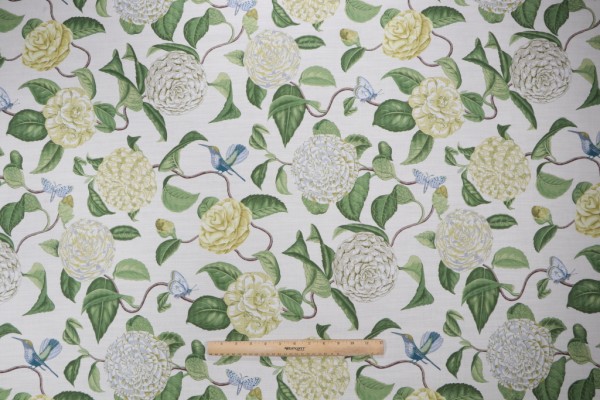 Sample of P Kaufmann Camellia Printed Cotton Drapery Fabric in Oasis 
