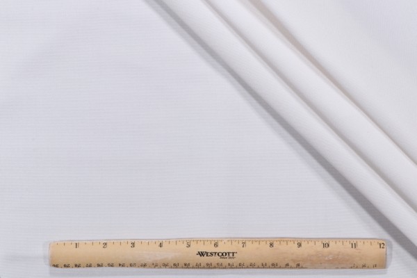 Sunbrella Canvas Woven Solution Dyed Acrylic Outdoor Fabric in Natural