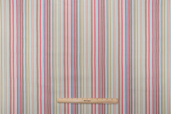 Stripe Woven Decorator Fabric in Meadow 