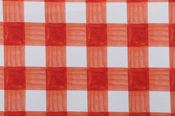 Click for 1 Yards PK Lifestyles Painterly Plaid Printed Polyester Outdoor Fabric in Coral PK Lifestyles Painterly Plaid Printed Polyester Outdoor Fabric in Coral