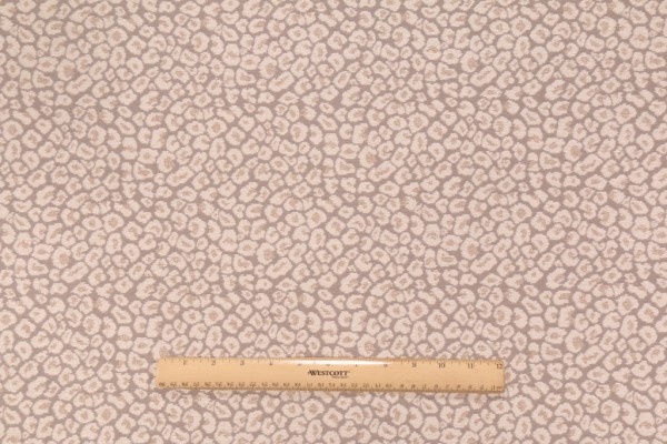 Golding Spots Chenille Upholstery Fabric in Oyster