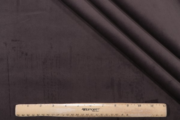 P Kaufmann Legend Velveteen Decorator Fabric in Elephant 