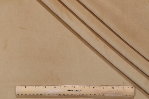 P Kaufmann Performance Velvet Upholstery Fabric in Taffy 