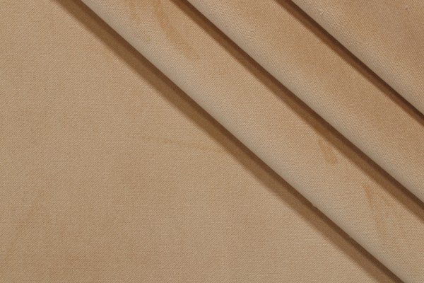 P Kaufmann Performance Velvet Upholstery Fabric in Taffy 