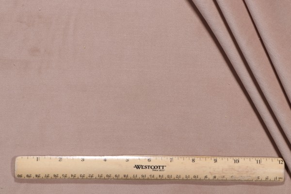 Leslie Jee Textiles Luxe Velvet Upholstery Fabric in Eclair